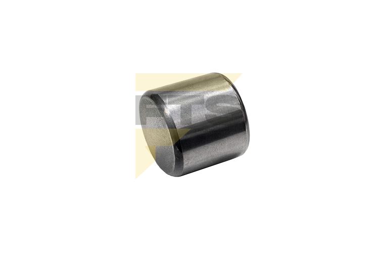 Imagem do produto PINO PROPULSOR BOMBA OLEO CAMBIO ZF 16S1300/1650 - Cód: FAP-2809